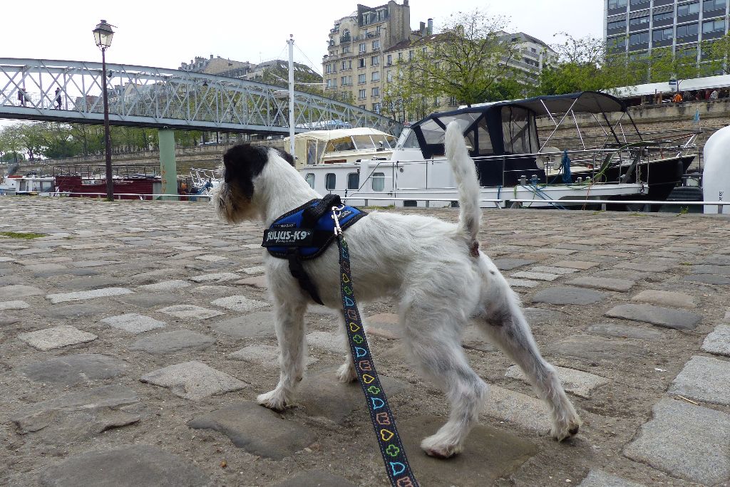 De L'airial De Laguloup - Crosby à Paris Bastille en visite ...