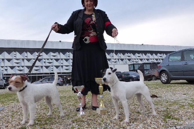 De L'airial De Laguloup - Dog show de Bordeaux le 17/01/16