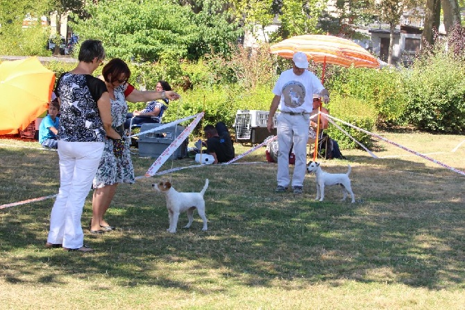 De L'airial De Laguloup - Dog Show International de Brive 