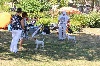  - Dog Show International de Brive 