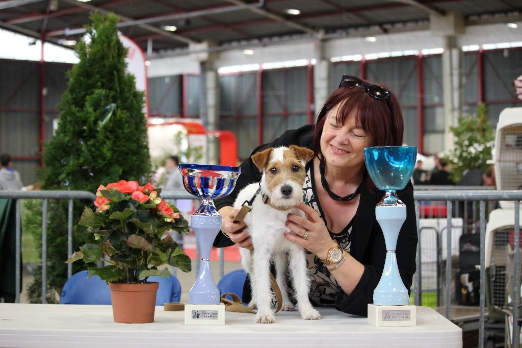 De L'airial De Laguloup - International Dog Show de Limoges