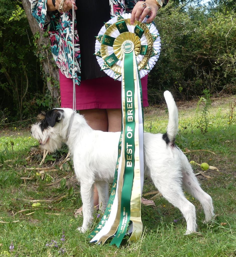 CH. Heaven de l'airial de laguloup of nock river's vom schwarzwal poland