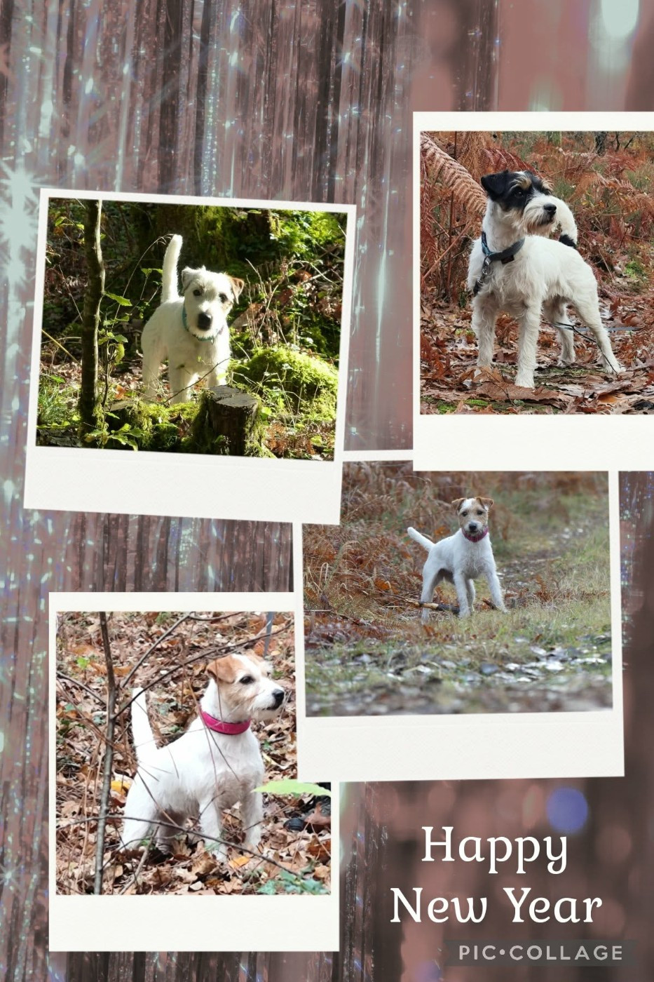 Nouvelle année 2026