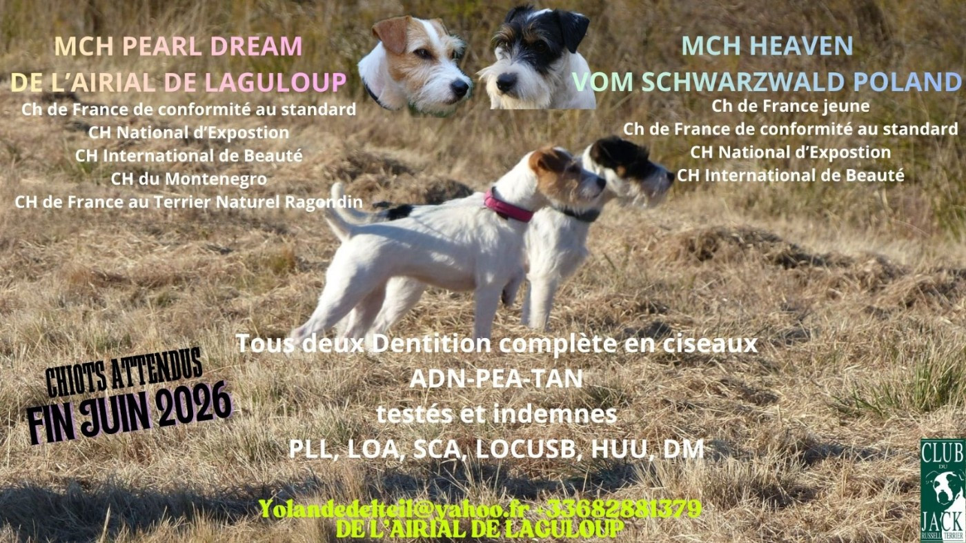 De futurs chiots à l'élevage