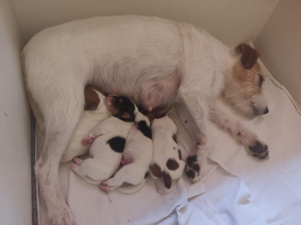 Nos bébés sont arrivés !