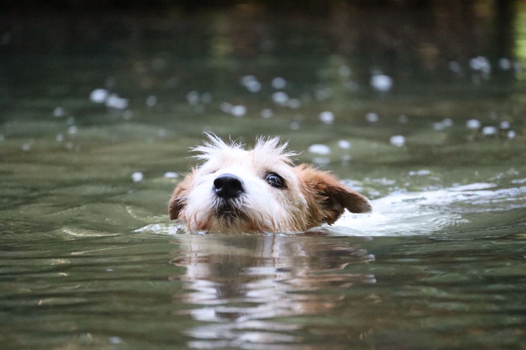 La canicule !